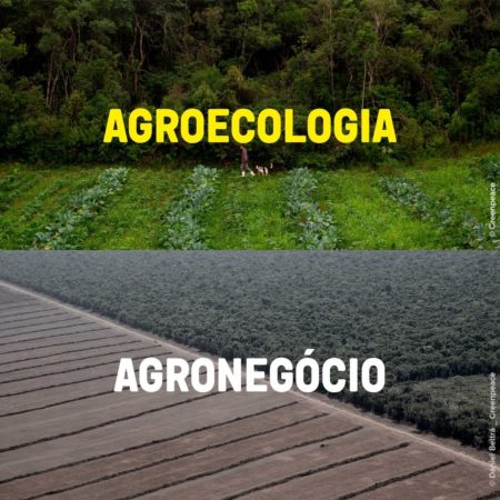 Não há futuro sem agroecologia!