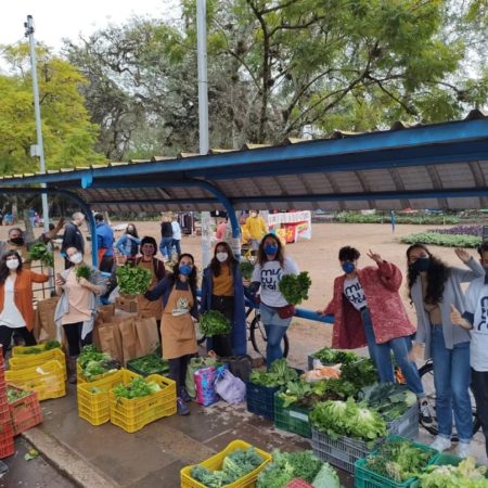 Rede de solidariedade